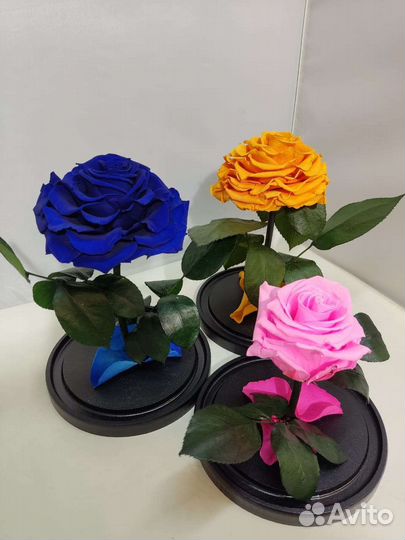 Роза в колбе