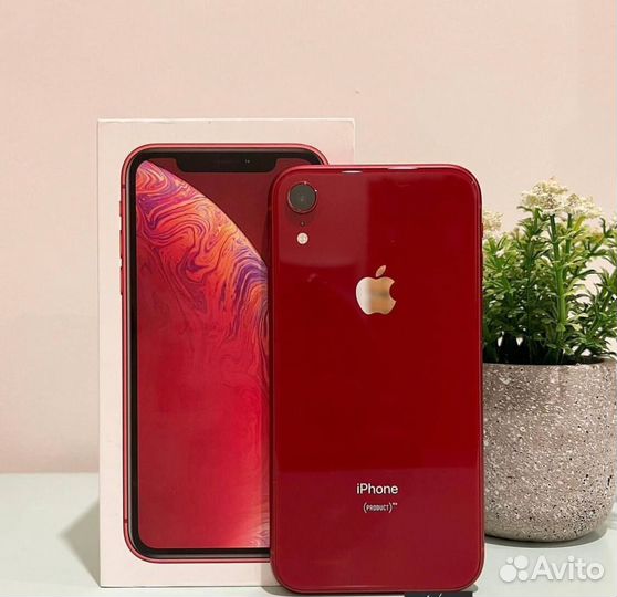 iPhone Xr, 128 ГБ
