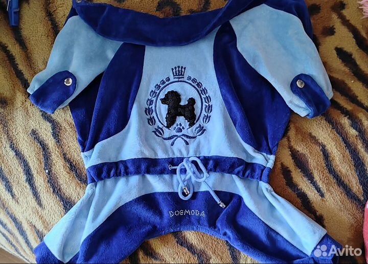 Костюм для собаки