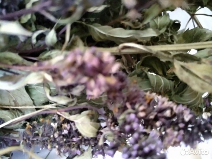 Перечная мята