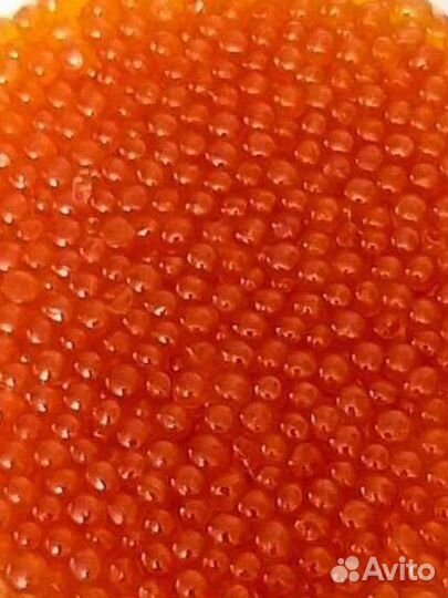 Красная икра горбуши 2023