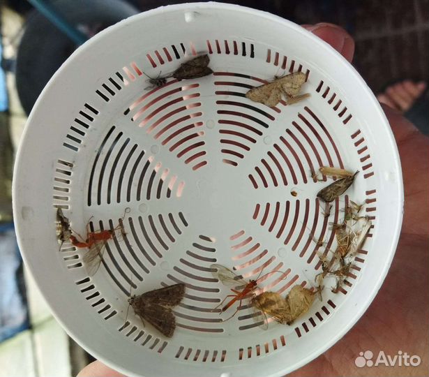 Антимоскитная лампа. Ночь без комаров