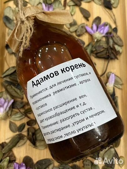Адамов корень