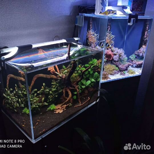 Запуск аквариумов