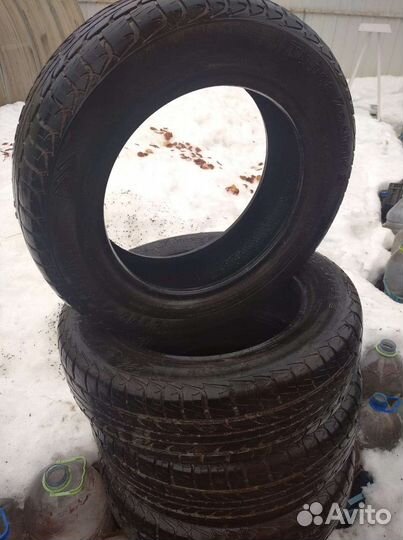 Tunga Tunga 65 R15
