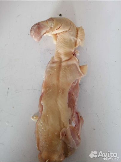 Куриные спинки (къамкъаргаш шеи)