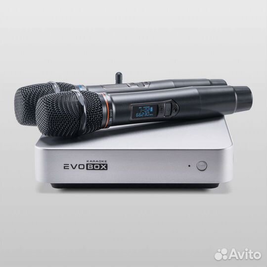 Караоке Evobox Plus серебро