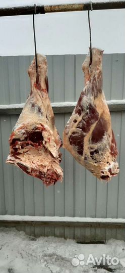 Мясо говядины деревенское(Телятина) и Баранина