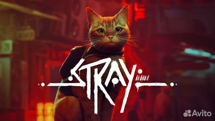 Stray Ps4/5. Подписки Ps plus (Ps4/5), игры, допы