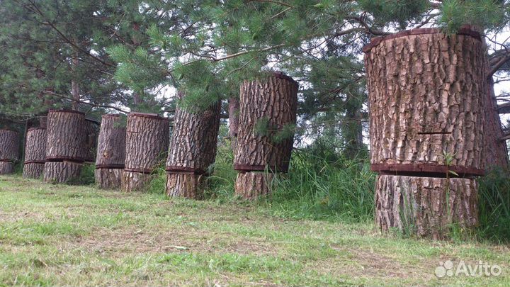 Колода для пчёл