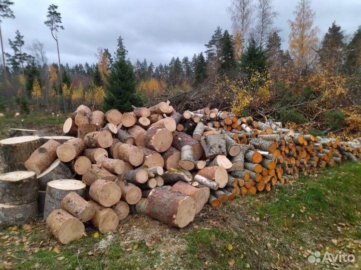 Расчистка участка