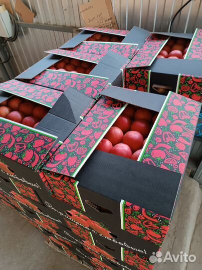 Помидоры томат