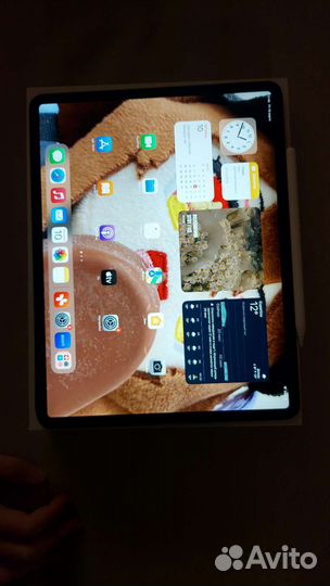 iPad pro 12 9 2020 256