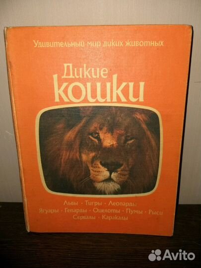 Книга про диких кошек 1981 гола