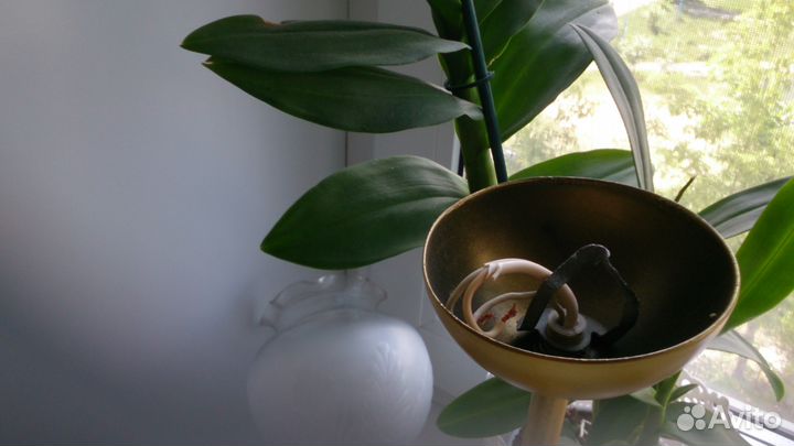 Светильник