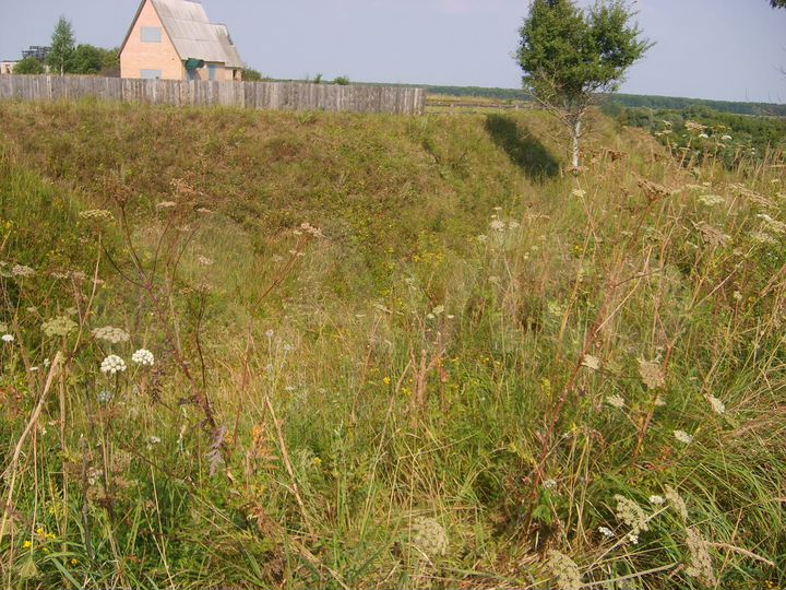 Участок 11 сот. (СНТ, ДНП)