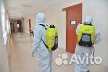 Уничтожение клопов/тараканов ос