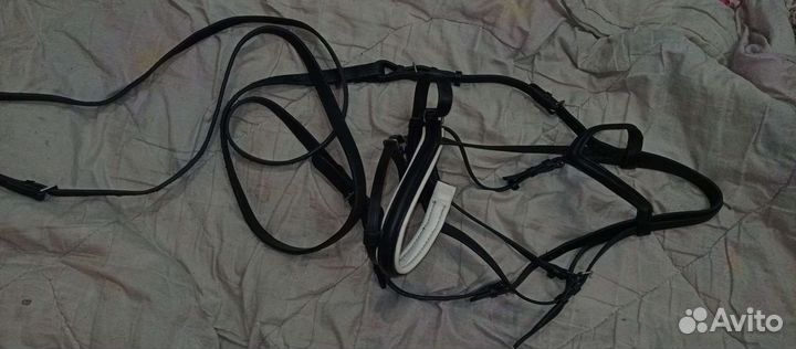 Амуниция для лошади и всадника