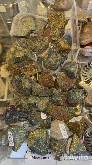 Аммонит спектропирит