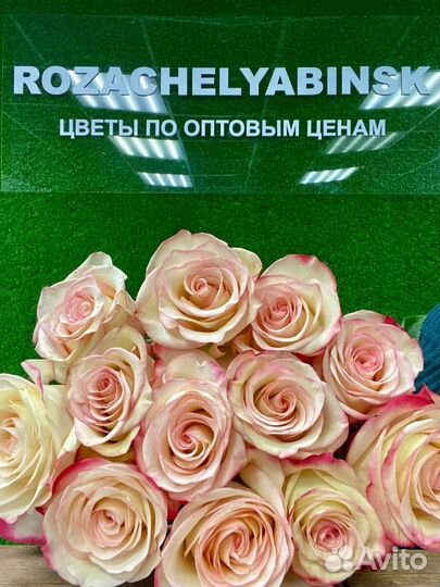 Цветы, букеты 25/51/101 доставка