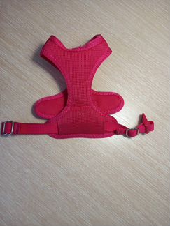 Шлейка для маленькой собачки