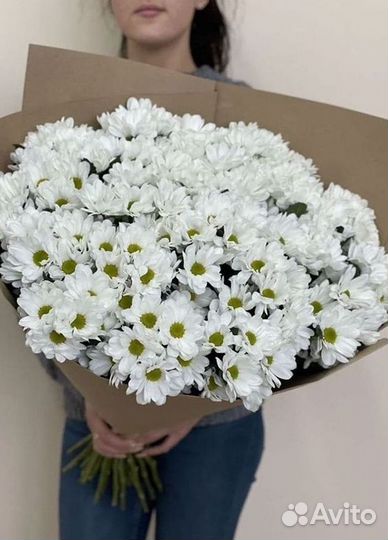 Хризантема Букеты с доставкой