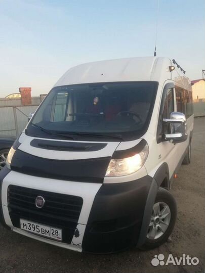 Пассажирские перевозки