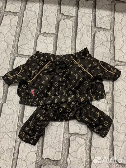 Плащевка для маленькой собачки