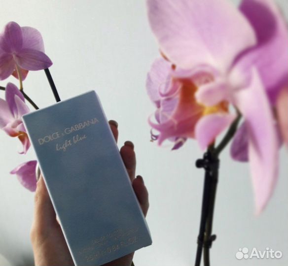 Dolce gabbana light blue