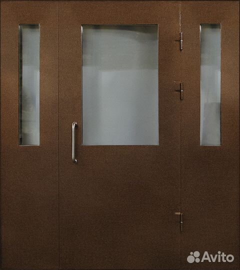 Дверь общая из 2мм стали и стеклопакета