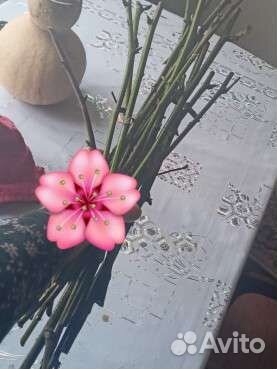 Черенки ежемалины