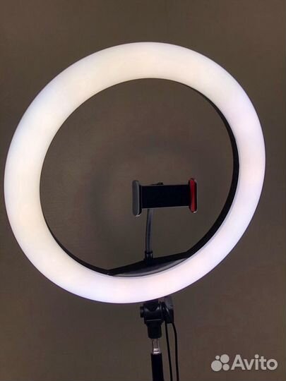 Кольцевая Лампа