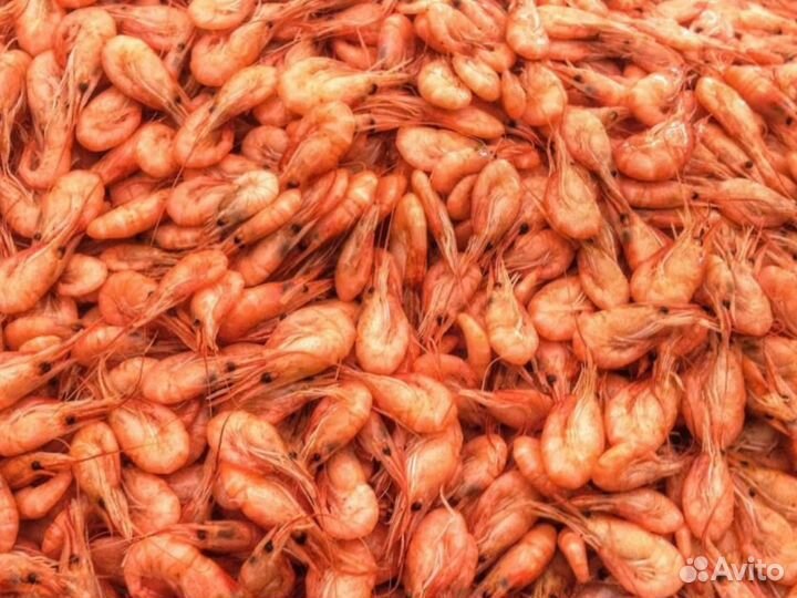 Креветка Азовская Черноморская