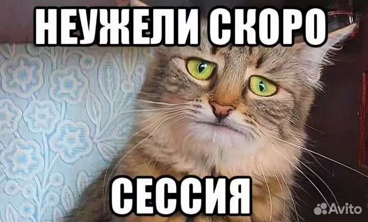 Помощь студентам:курсовые, научные статьи, дипломы