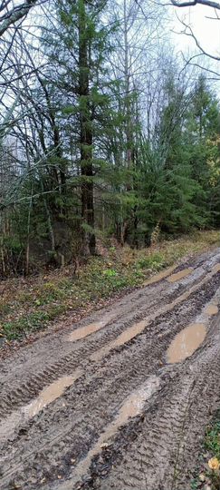 Участок 44 сот. (СНТ, ДНП)