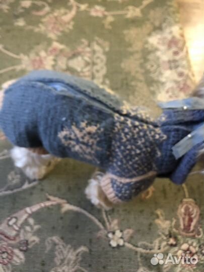 Одежда для собак мелких пород