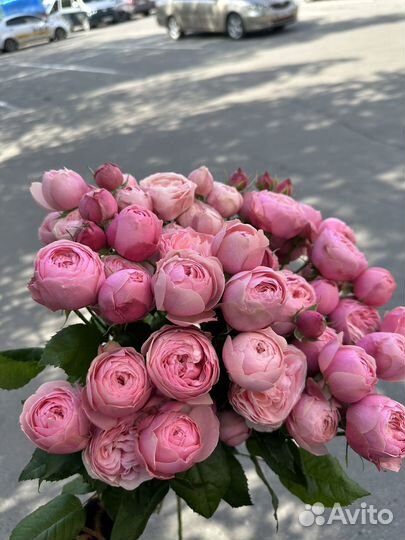 Пионовидные кустовые розы Сургут доставка