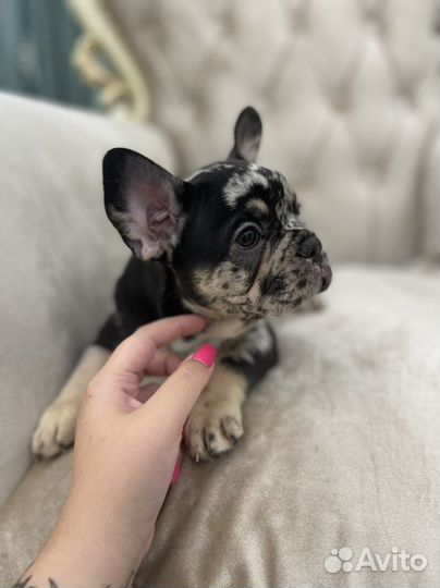 Мраморное чудо