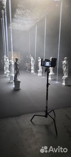 Аренда Прокат Статуй Скульптур Бюстов Голов Колонн