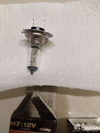 Лампочки h7