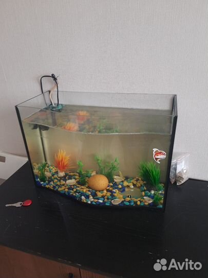 Аквариум с тумбой бу и рыбками