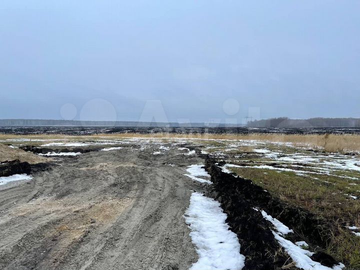 Участок 8,3 сот. (СНТ, ДНП)