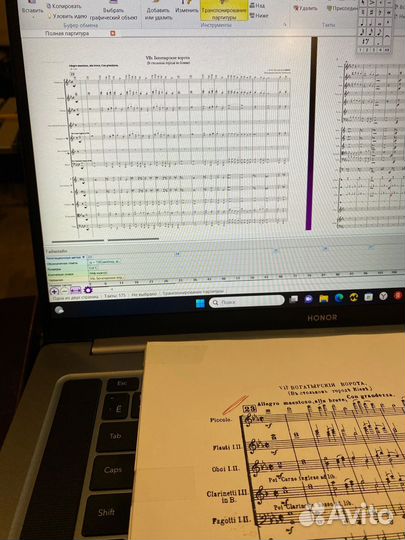 Набор нот в Sibelius