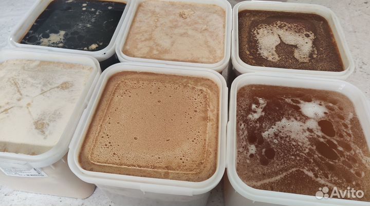 Алтайский мёд (оптом)