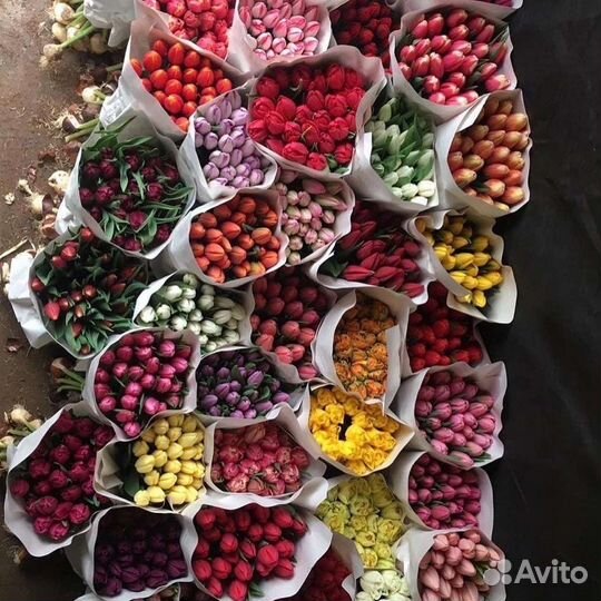 Тюльпаны к 8 марта оптом