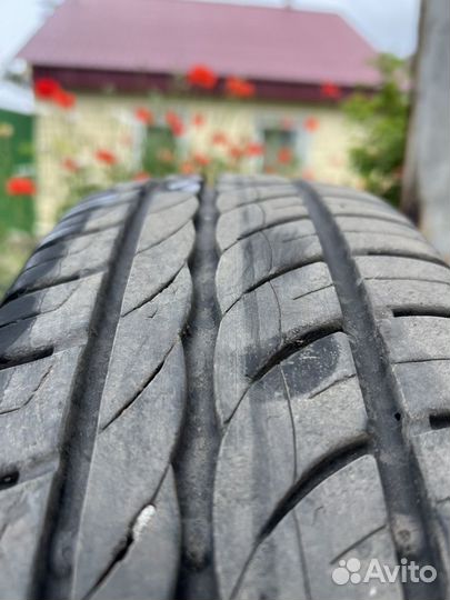 Pirelli cinturato p1 175/70 r14