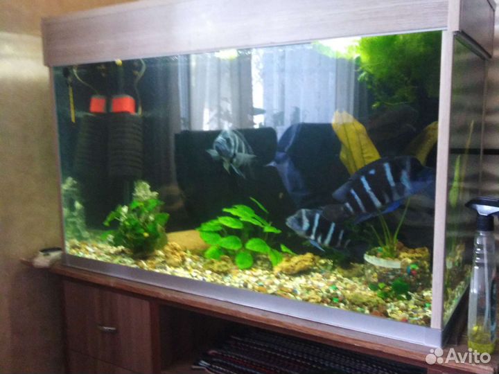 Аквариум 304л