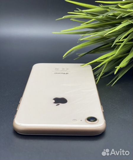 iPhone 8, 256 ГБ