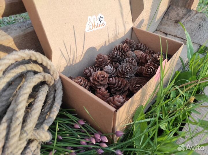 Шишки для творчества