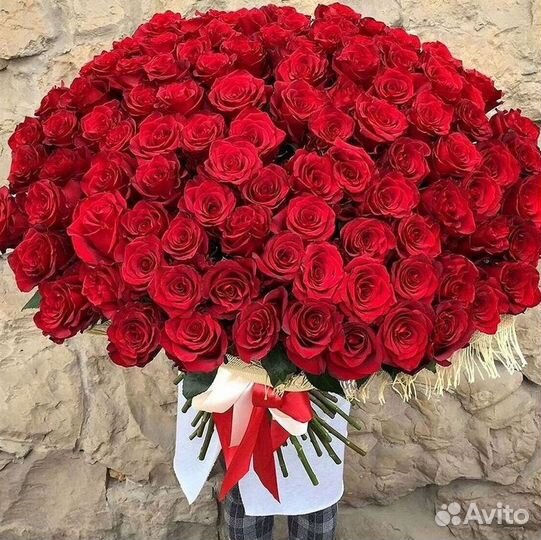 Розы гиганты 140 150 160 170 180 200